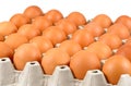 Full tray of freshly laid free range organic eggs