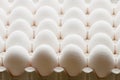Full tray of white eggs