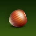 Full Unpeeled Hazelnut on Green Background