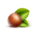 Full Unpeeled Hazelnut with Leaves Close up on White Background Royalty Free Stock Photo