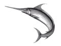 Swordfish Engraving Vintage Illustration