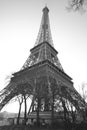Black and white image of the Eiffel Tower, Paris. Royalty Free Stock Photo