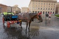 Full view of an empty horse chariot on the street of Rome, Italy in rainy weather Royalty Free Stock Photo