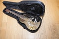 Full view of resonator guitar in carry case Royalty Free Stock Photo