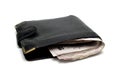 Full Wallet Royalty Free Stock Photo