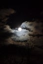 Full Wolf Moon