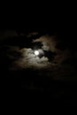 Full Wolf Moon Royalty Free Stock Photo