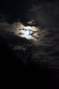 Full Wolf Moon Royalty Free Stock Photo