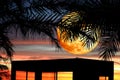 Full Worm blood Moon and silhouette tree on the roof and night sky