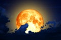 Full worm moon back silhouette cloud in night sky Royalty Free Stock Photo