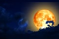 full worm moon back silhouette cloud in night sky Royalty Free Stock Photo
