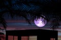 Full Worm Moon and silhouette tree on the roof and night sky