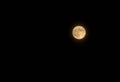 Full yellow moon on night sky background.