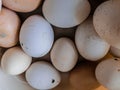 Fullframe of eggs