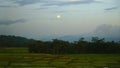 Fullmoon, jungle, and paddyfields, at banyumas, centraljava