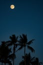 Fullmoon koh samui. Thailand