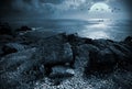 Fullmoon over the ocean Royalty Free Stock Photo