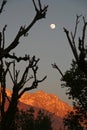 Fullmoon rise and vivid sunset on snowpeaked In Royalty Free Stock Photo