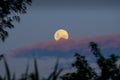 Moon over purple cloud on sunset