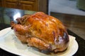 Cooked Thanksgiving Turkey