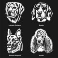 Dog Heads of different Breeds Vector Graphic On Black