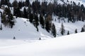 Fully-equipped cyclists riding bicycles in scenic mountains; a woody terrain covered with snow Royalty Free Stock Photo