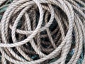 Old grey coiled marine or fishing rope Royalty Free Stock Photo