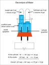 Fully labeled diagram of the electrolysis of water