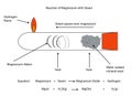 Fully labelled illustration of magnesium reaction with steam Royalty Free Stock Photo