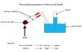 Fully labelled illustration of thermal decomposition of mercury Royalty Free Stock Photo