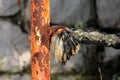 Fully rusted metal pole with cracked paint holding strong naval rope serving as decorative fence with stone wall in background