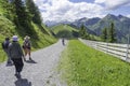 Fulseck, Dorfgastein, Austria, stone road, landscape with mountains and grass land