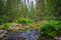 FulufjÃÂ¤llet National Park, national park in Sweden, located in the commune of Ãâlvdalen, in the Dalarna region