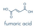 Fumaric acid molecule. Found in bolete mushrooms, lichen and iceland moss and used as food additive. Skeletal formula.