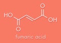 Fumaric acid molecule. Found in bolete mushrooms, lichen and iceland moss and used as food additive. Skeletal formula.