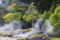 Fumarole at Caldeiras Das Furnas, Sao Miguel, Azores, Portugal Royalty Free Stock Photo