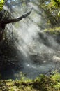 Fumarole at Rincon de la Vieja Volcano, Costa Rica.