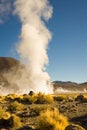 Fumaroles at El Tatio Geysers at an altitude of 4300m in the Atacama desert