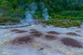 Fumaroles at Furnas lake at Sao Miguel island, Portugal