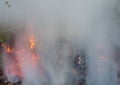 Fumed wild fire, Royalty Free Stock Photo
