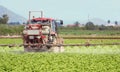 Fumigation of tractor in lettuce field. Spraying insecticide, insecticides, pesticides in agricultural countryside. Pesticides and