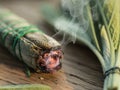 Fuming sage stick. Close-up shot of smoke Royalty Free Stock Photo