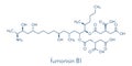 Fumonisin B1 mycotoxin molecule. Fungal toxin produced by some Fusarium molds, often present in corn and other cereals. Skeletal.