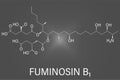 Fumonisin B1 mycotoxin molecule. Skeletal formula. Vector illustration