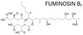 Fumonisin B1 mycotoxin molecule. Skeletal formula. Vector illustration