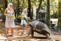 Fun activities in Mauritius. Family feeding giant tortoise in the zoo of the island of Mauritius