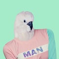 Fun Art Collage Parrot Man Contemporary art