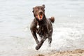 Fun on the beach