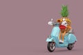 Fun Cartoon Fashion Hipster Cut Pineapple Person Character Mascot Riding Classic Vintage Retro or Electric Scooter. 3d Rendering