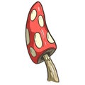 Fun Cartoon Mushroom Toadstool Character Vector Illustration Royalty Free Stock Photo